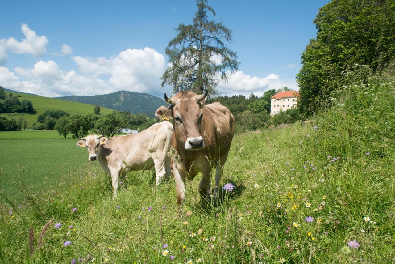 Hotel Landsitz Pichlschloss Neumarkt in Steiermark Ngoại thất bức ảnh