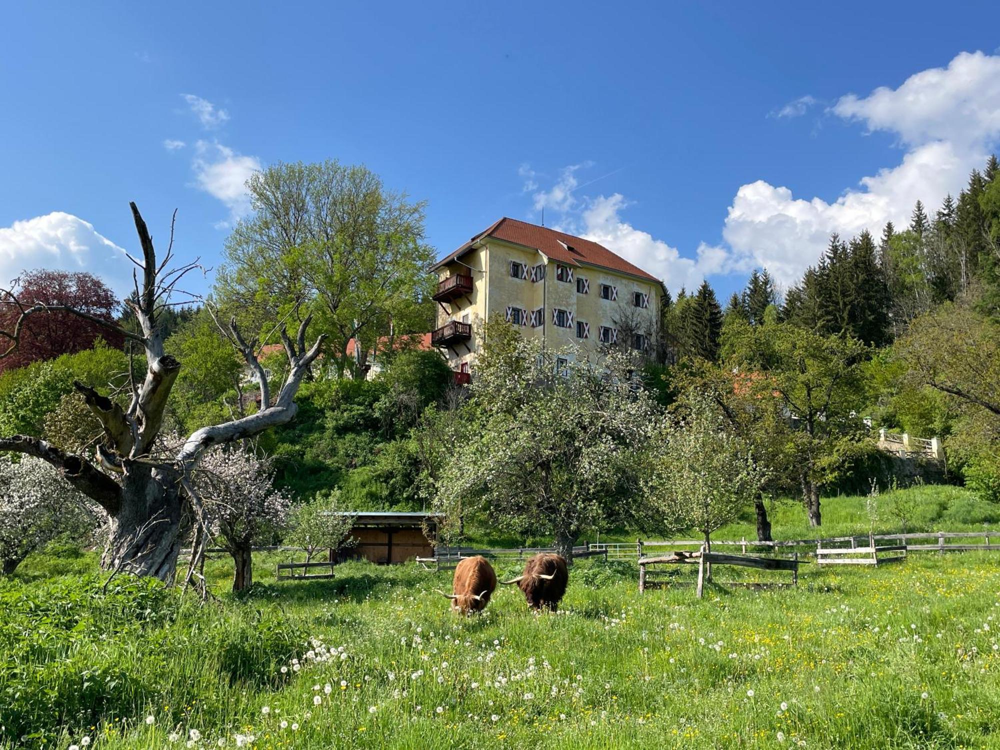Hotel Landsitz Pichlschloss Neumarkt in Steiermark Ngoại thất bức ảnh